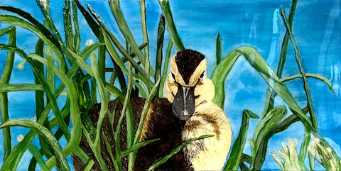 Saturnin
