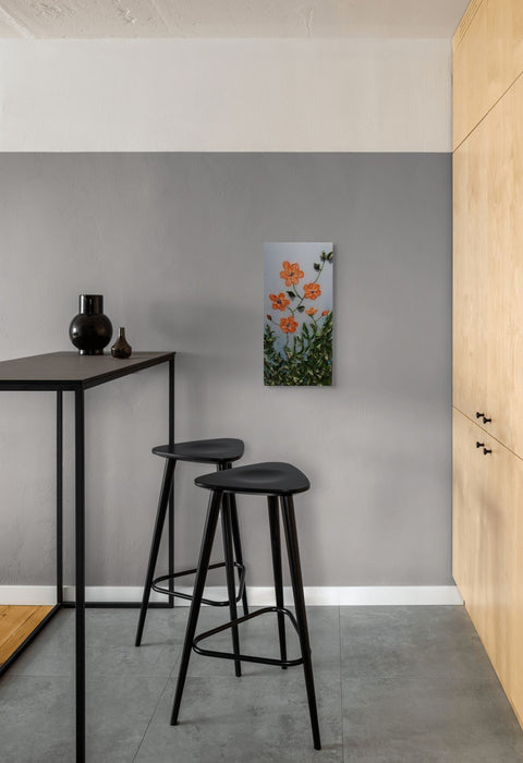 Fleurs de zinnia