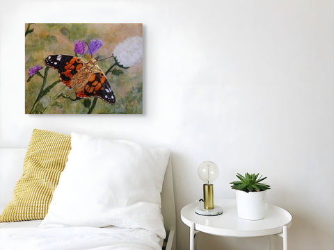 Papillon Belle Dame